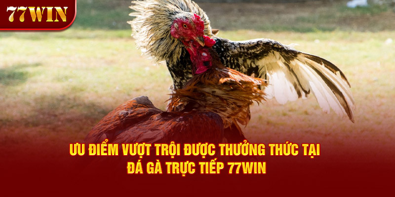 Lô Câm Là Gì? Bật Mí Bí Quyết Cá Cược Hiệu Quả Cho Cược Thủ 