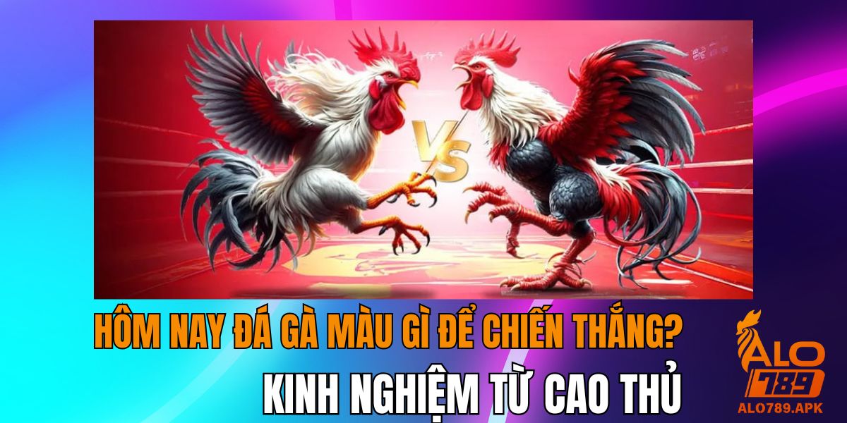 Hôm Nay Đá Gà Màu Gì Để Chiến Thắng? Kinh Nghiệm Từ Cao Thủ
