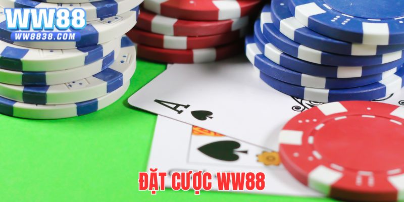 Đặt Cược WW88 – Hướng Dẫn Thao Tác Cơ Bản Cho Tân Thủ