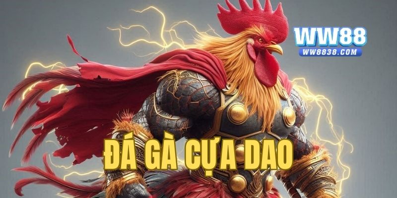 Đá Gà Cựa Dao – Hướng Dẫn Chi Tiết Cách Chơi Từ A-Z