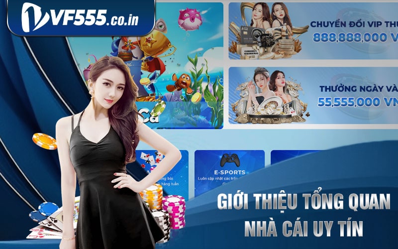 Tổng Quan Nhà Cái VF555 Uy Tín Cá Cược VF555 Tặng 128K
