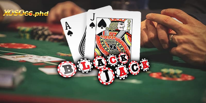 Hướng Dẫn Đầu Tư Bộ Môn Casino Hấp Dẫn Nhất 2025